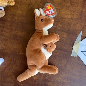 Beanie Baby Mint Condition “Pouch”